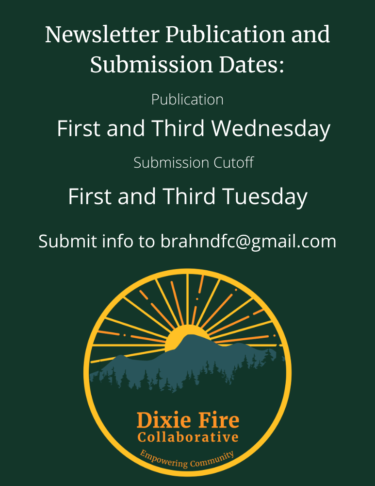 Dixie Fire Community News