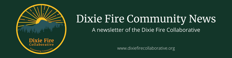 Banner of the Dixie Fire Collaborative showing logo with sun rising over mountain.